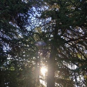 Meet your Posher, Colleen